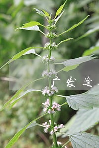 广发逾期2天额度 广发逾期2天额度