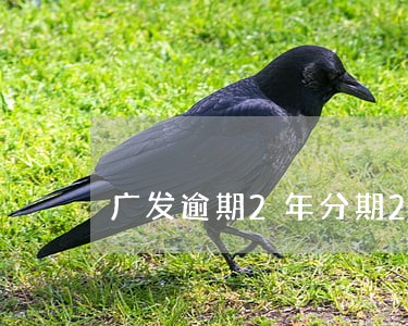 广发逾期2年分期24期 广发逾期2年分期24期
