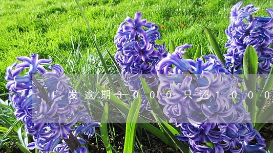 广发逾期3000只还1000 广发逾期3000只还1000