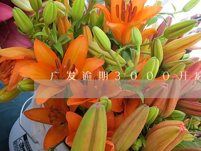 广发逾期3000开庭 广发逾期3000开庭