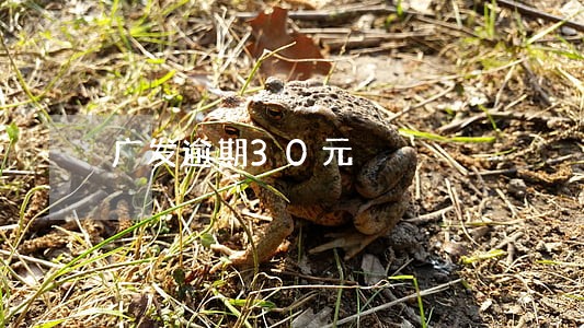 广发逾期30元 广发逾期30元