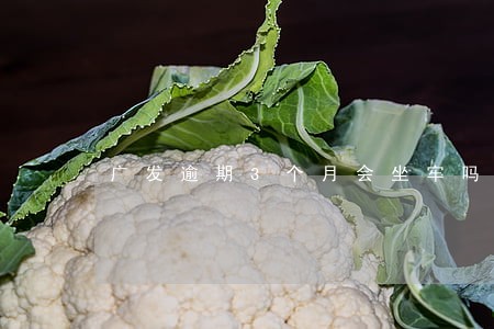 广发逾期3个月会坐牢吗 广发逾期3个月会坐牢吗