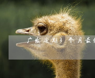广发逾期3个月最低还款可以吗 广发逾期3个月最低还款可以吗