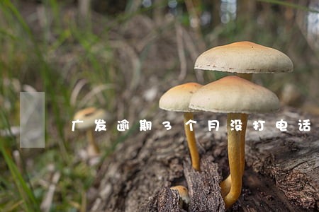 广发逾期3个月没打电话催收 广发逾期3个月没打电话催收