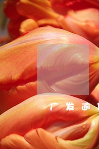 广发逾期3个月没钱还 广发逾期3个月没钱还