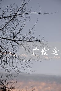 广发逾期3个月说报案
