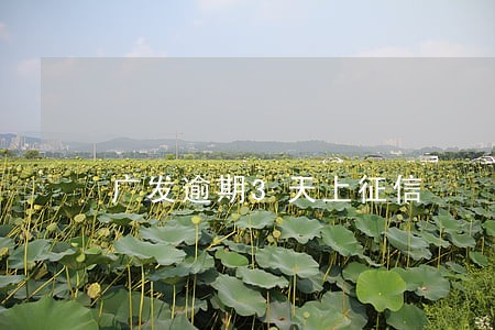 广发逾期3天上征信 广发逾期3天上征信