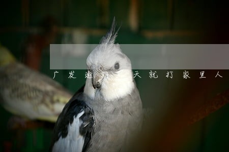 广发逾期3天就打家里人了 广发逾期3天就打家里人了