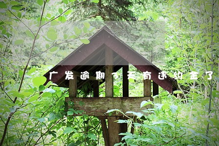 广发逾期3天有违约金了 广发逾期3天有违约金了