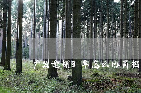 广发逾期3年怎么协商招商 广发逾期3年怎么协商招商