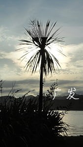 广发逾期4000元 广发逾期4000元