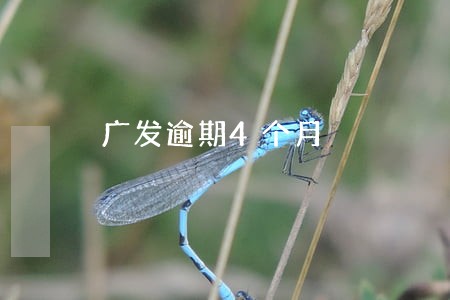广发逾期4个月 广发逾期4个月
