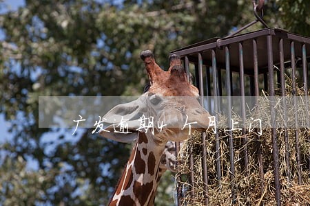 广发逾期4个月上门 广发逾期4个月上门