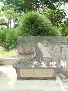 广发逾期4个月了