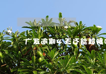 广发逾期4天还能超限吗 广发逾期4天还能超限吗