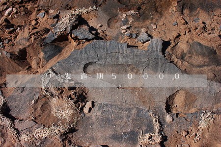 广发逾期50000 广发逾期50000
