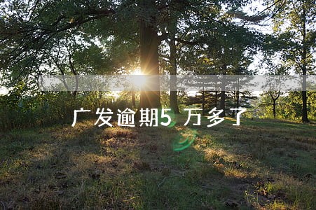 广发逾期5万多了 广发逾期5万多了