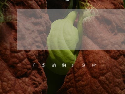 广发逾期5分钟 广发逾期5分钟