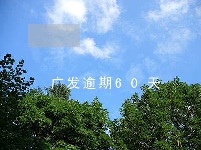 广发逾期60天 广发逾期60天