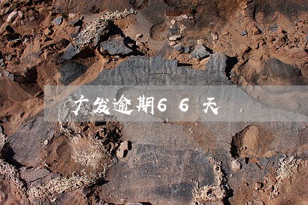 广发逾期66天 广发逾期66天