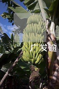 广发逾期6万真实上门催收 广发逾期6万真实上门催收