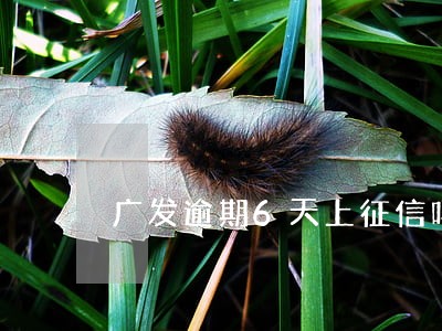 广发逾期6天上征信吗