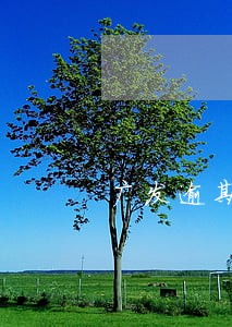 广发逾期6天还款的后果 广发逾期6天还款的后果