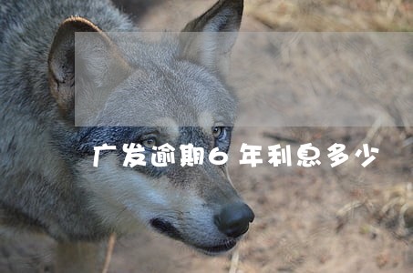 广发逾期6年利息多少