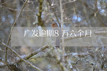 广发逾期8万六个月 广发逾期8万六个月
