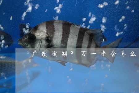 广发逾期9万一年会怎么样 广发逾期9万一年会怎么样