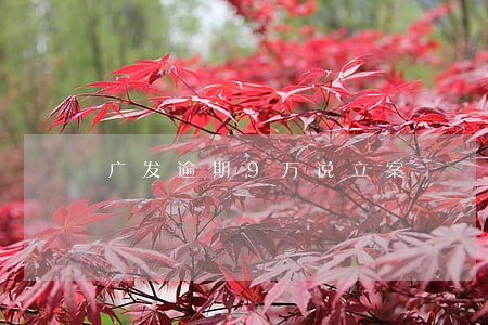 广发逾期9万说立案 广发逾期9万说立案