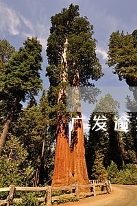 广发逾期9年 广发逾期9年