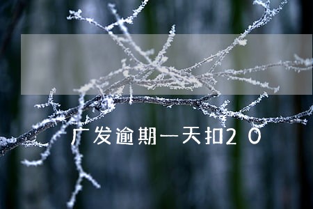 广发逾期一天扣20