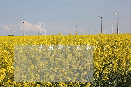 广发逾期一天扣400 广发逾期一天扣400