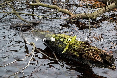 广发逾期一天扣我20 广发逾期一天扣我20