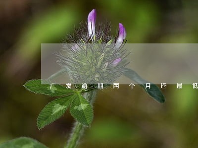 广发逾期两个月还最低6 广发逾期两个月还最低6