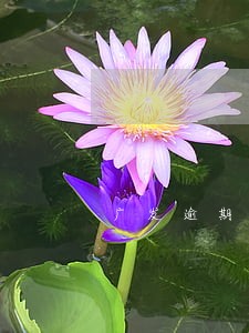 广发逾期了4天 广发逾期了4天