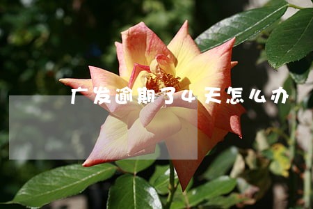 广发逾期了4天怎么办