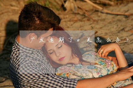 广发逾期了4天怎么办上海 广发逾期了4天怎么办上海