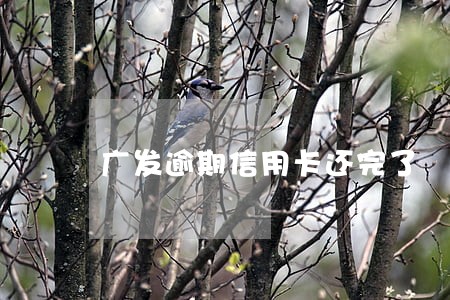广发逾期信用卡还完了 广发逾期信用卡还完了