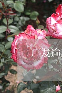 广发逾期几天会冻结信用卡 广发逾期几天会冻结信用卡