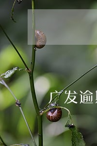 广发逾期收到025的电话 广发逾期收到025的电话