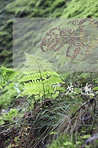 广发逾期每个月加3000 广发逾期每个月加3000