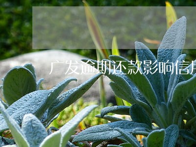 广发逾期还款影响信用吗 广发逾期还款影响信用吗
