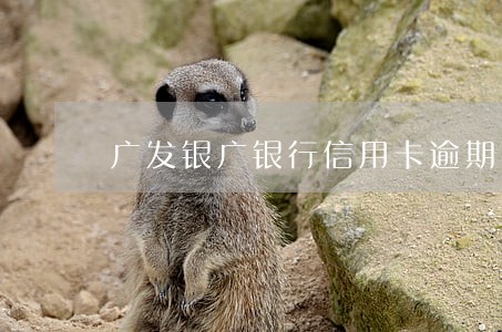 广发银广银行信用卡逾期 广发银广银行信用卡逾期