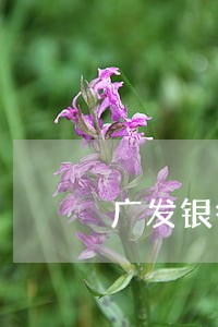 广发银行2万逾期3个月 广发银行2万逾期3个月