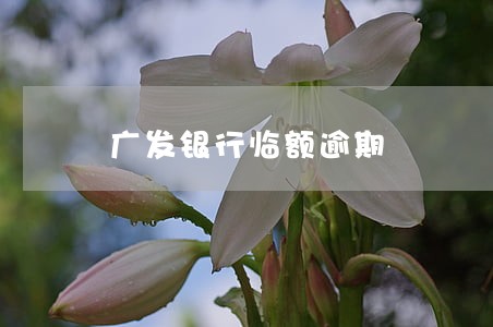 广发银行临额逾期 广发银行临额逾期