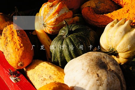 广发银行信用卡5万7千逾期 广发银行信用卡5万7千逾期