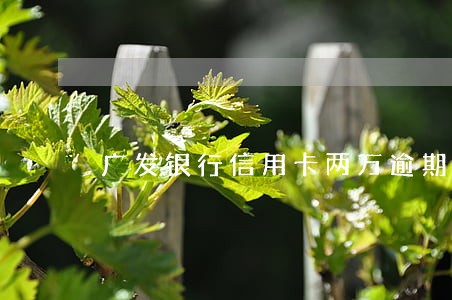 广发银行信用卡两万逾期两年 广发银行信用卡两万逾期两年