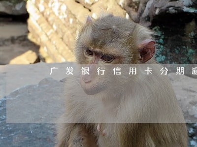 广发银行信用卡分期逾期8万 广发银行信用卡分期逾期8万
